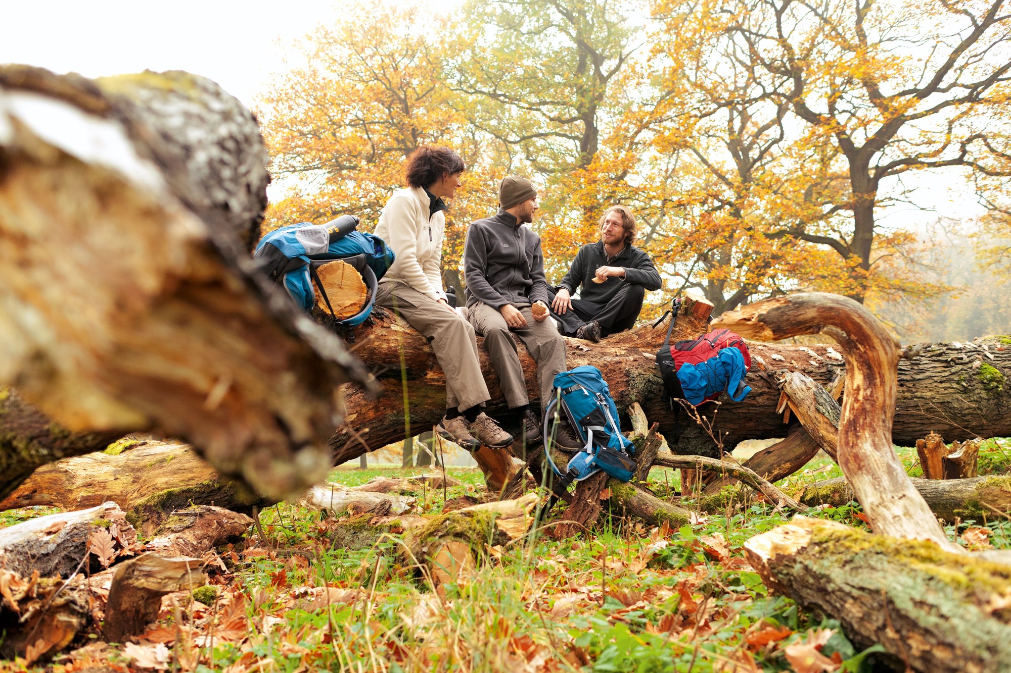 Voorkant -Kampeeruitrusting Verkoop 2024 220954 10151217679654734 1469937144 o