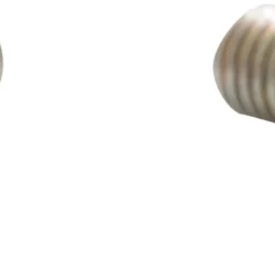 Black Diamond Tech Tips Carbide