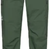 Haglöfs Mid Standard Broek Heren, Groen -Kampeeruitrusting Verkoop 2024 hagloefs mid standard pants men fjell green 1