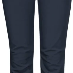 Jack Wolfskin Fourwinds Pants Kids, Blauw