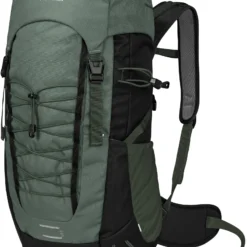 Jack Wolfskin Peak Hiker Daypack Kids, Groen