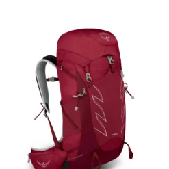 Osprey Talon 33 Rugzak Heren, Rood