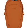 Pacsafe ECO Backpack 25l, Bruin -Kampeeruitrusting Verkoop 2024 pacsafe eco backpack 25l econyl canyon 1