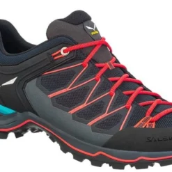 SALEWA MTN Trainer Lite Schoenen Dames, Bont